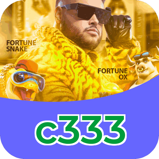 c333