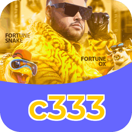 c333